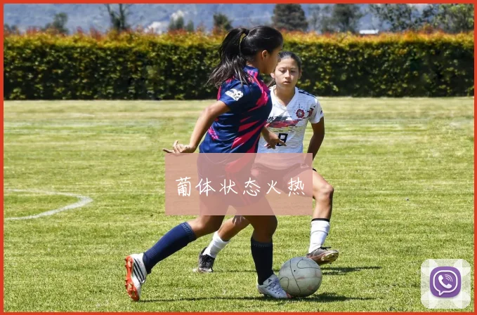 葡体状态火热