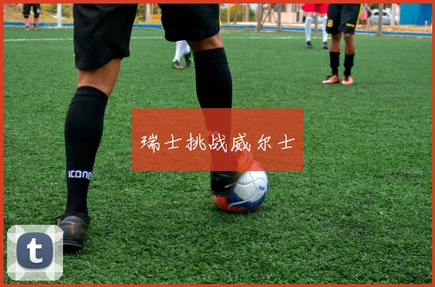 瑞士挑战威尔士