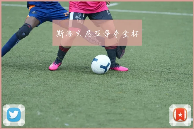 斯洛文尼亚争夺金杯