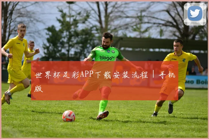 世界杯足彩APP下载安装流程｜手机版