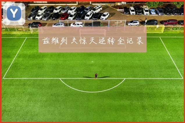 兹维列夫惊天逆转全记录
