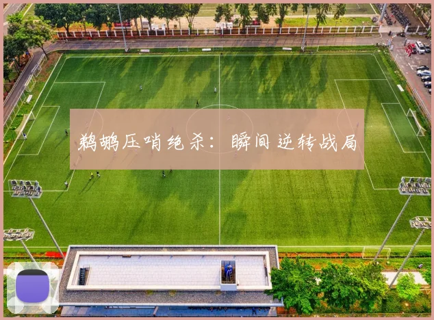 鹈鹕压哨绝杀：瞬间逆转战局