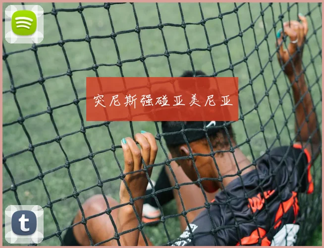 突尼斯强碰亚美尼亚