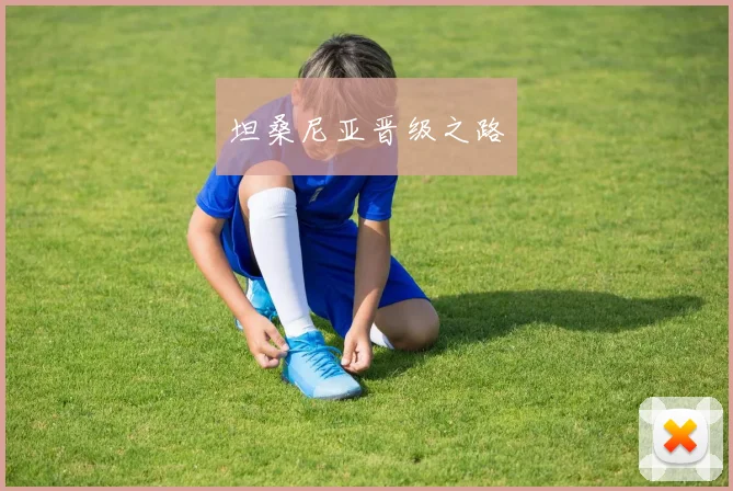 坦桑尼亚晋级之路