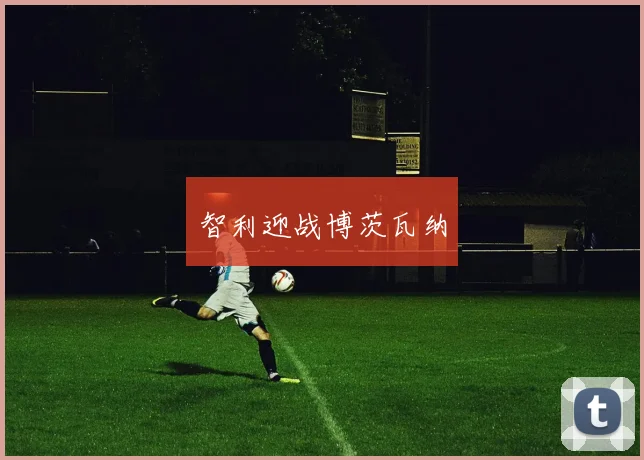 智利迎战博茨瓦纳