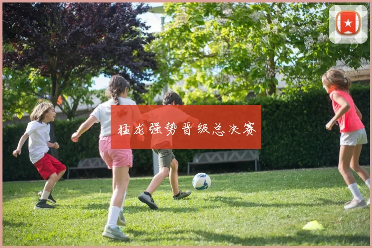 猛龙强势晋级总决赛