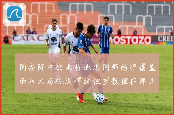 国安阵中的老将池忠国那防守覆盖面和大局观没得说但岁数摆在那儿体能是个问题