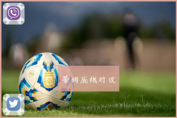 蒂姆底线对攻