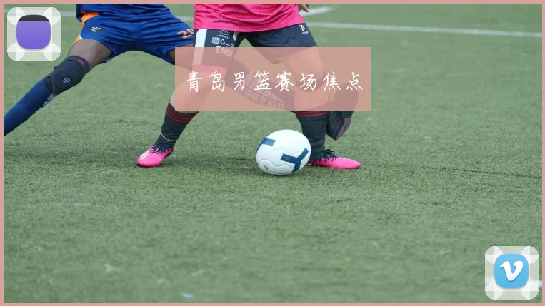青岛男篮赛场焦点