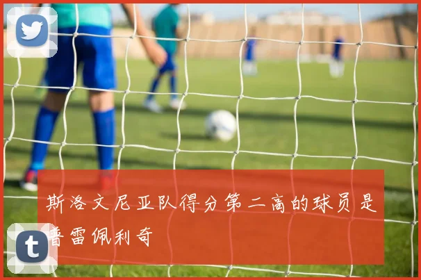 斯洛文尼亚队得分第二高的球员是普雷佩利奇