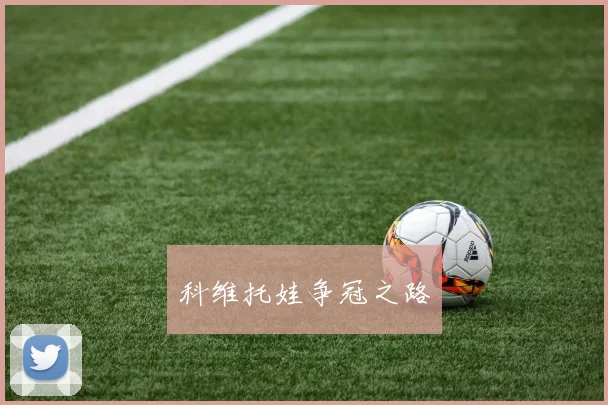 科维托娃争冠之路