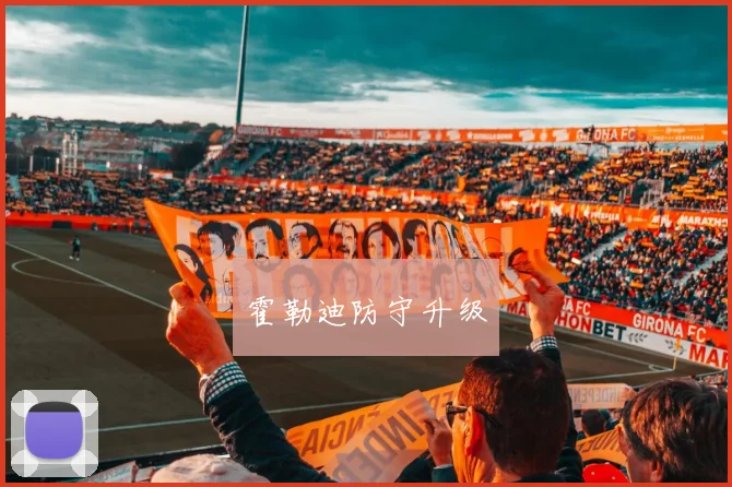 霍勒迪防守升级