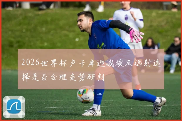 2026世界杯卢卡库迎战埃及远射选择是否合理走势研判