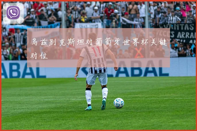 乌兹别克斯坦对葡萄牙世界杯关键对位