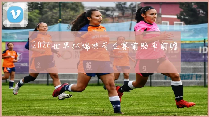 2026世界杯瑞典荷兰赛前赔率前瞻
