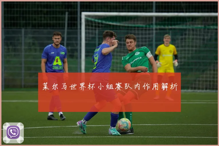 莱尔马世界杯小组赛队内作用解析